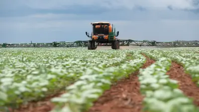 Enfoque en la localización de la producción